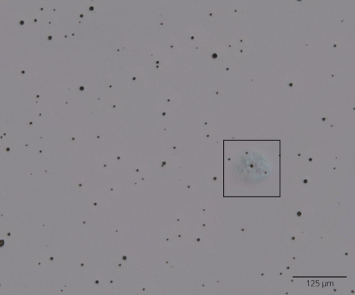 Microscope slide showing an example of microscopic laser damage morphology.